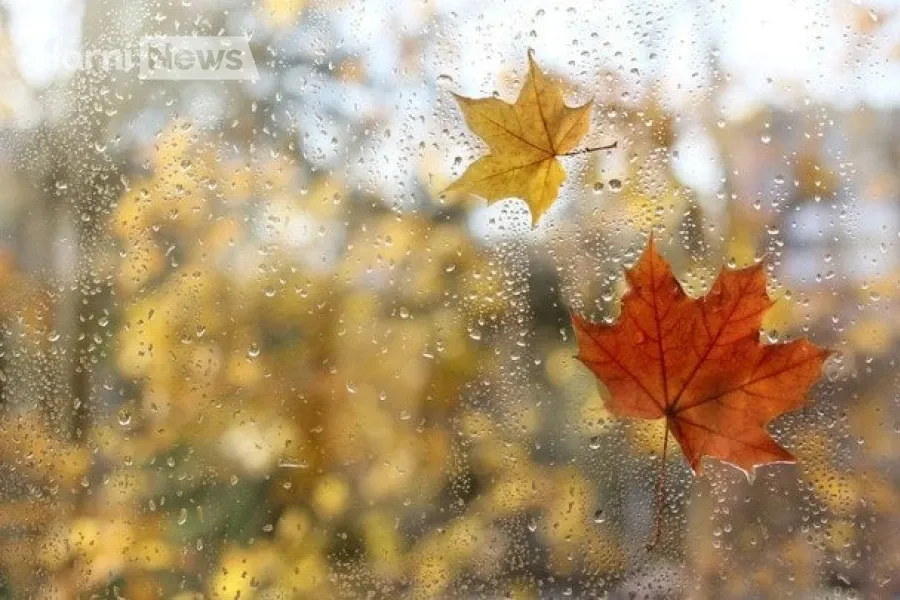 Дощі не відступають: прогноз погоди 29 жовтня для України та Києва