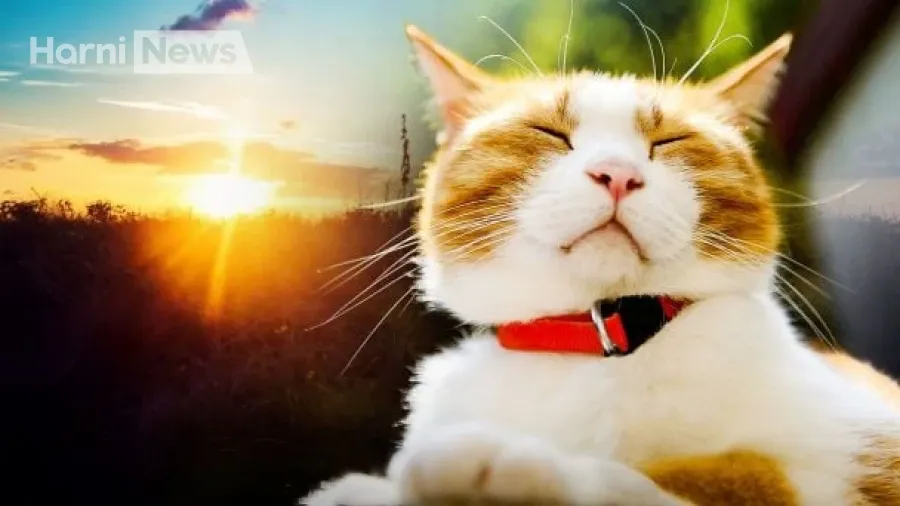 Погода в Україні змінюється: коли припиняться дощі та прийде до +20°C на півдні