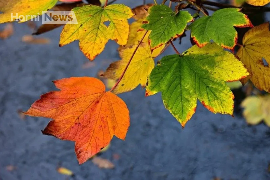 Погода 31 жовтня: північ під дощами, південь до +19°C – чи варто чекати штормового вітру?