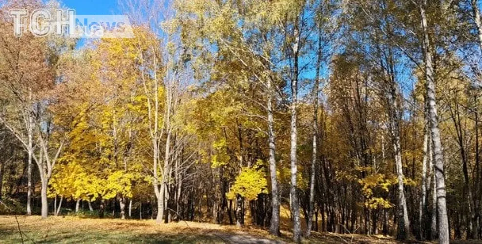 Прогноз погоди: сильний вітер, дощова субота і тепліша неділя – що чекає регіони