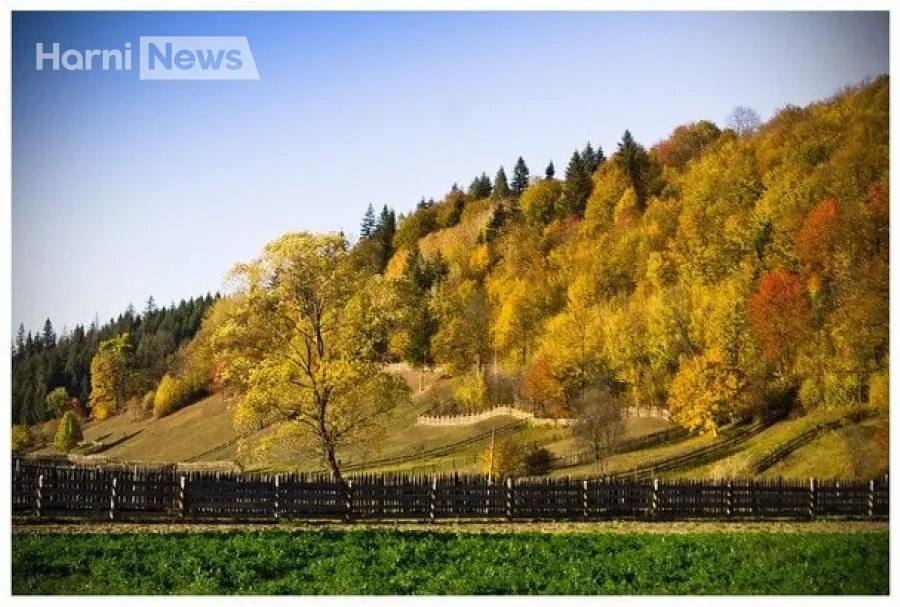Осінній релакс 30 жовтня: без опадів удень по всій Україні, але ввечері дощі зайдуть із заходу