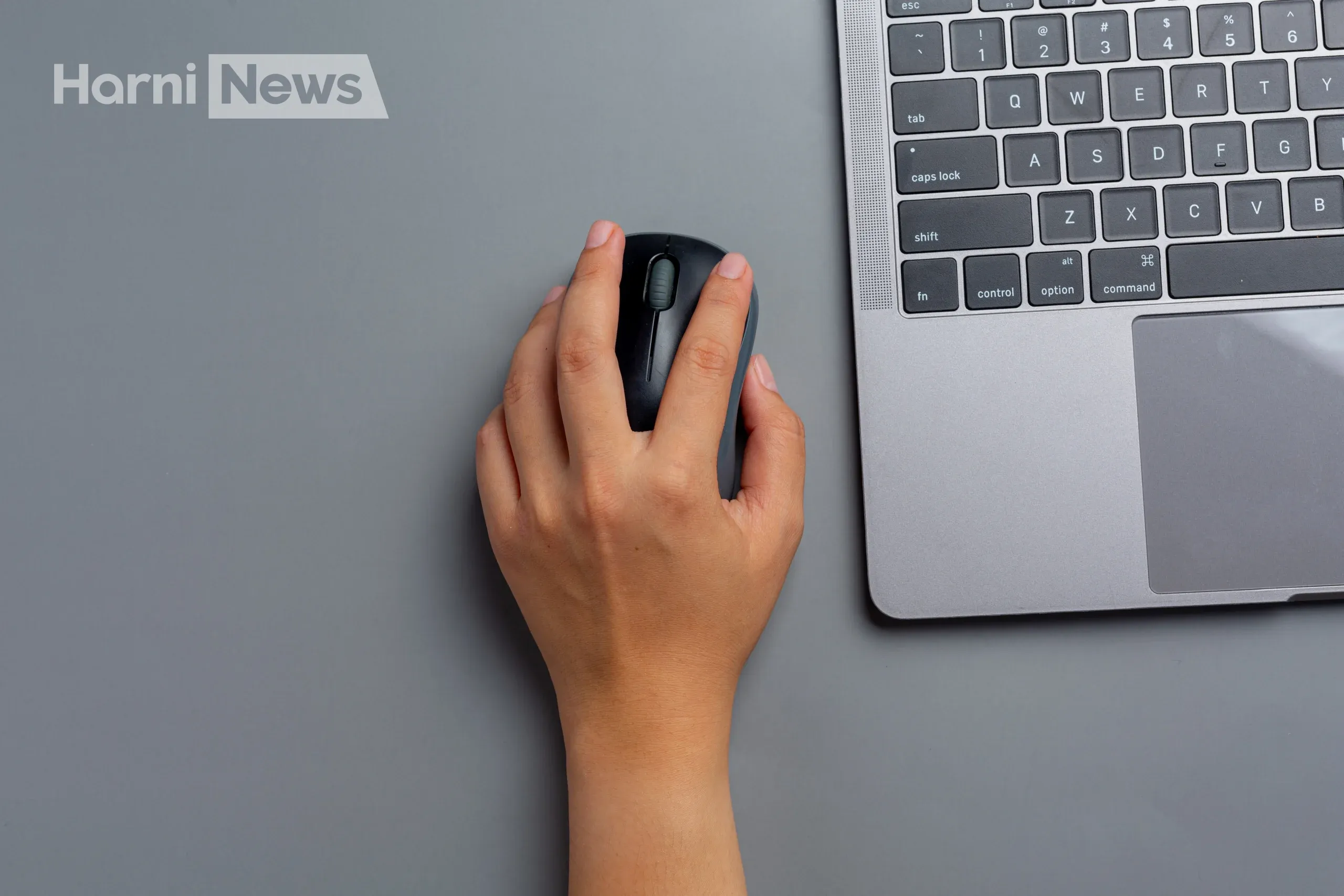 Гайд із вибору мишки типи, поради, бренди та корисні нюанси