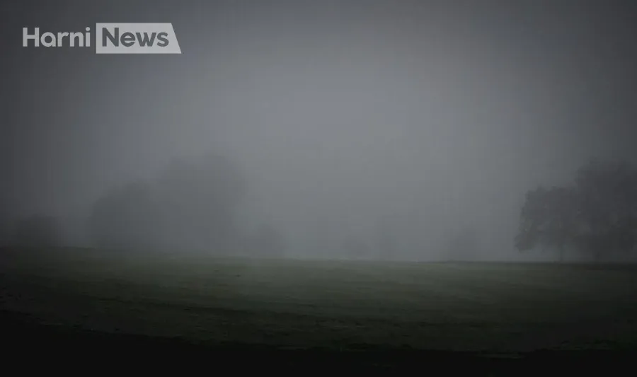 Жовтий рівень небезпеки через туман: чи готові водії Лівобережжя та Карпат до видимості 200-500 м?