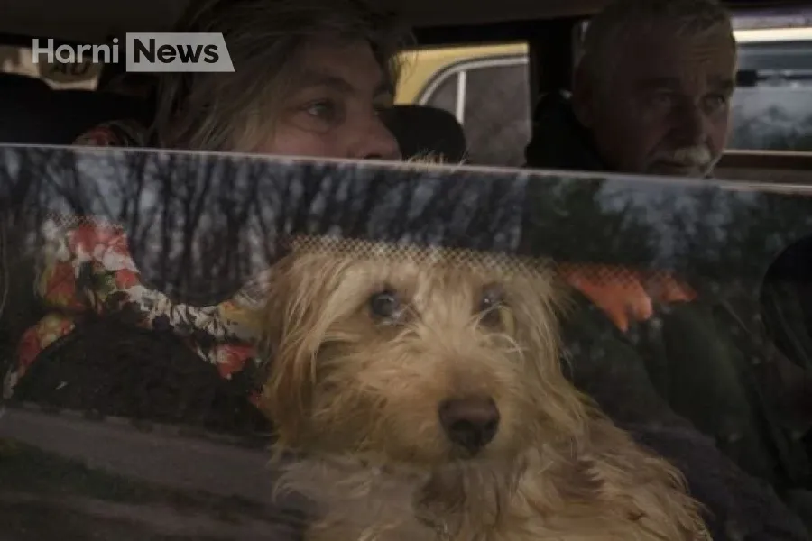 Чому 20 тисяч мешканців Сумщини не виїжджають: що каже ОВА і які варіанти є