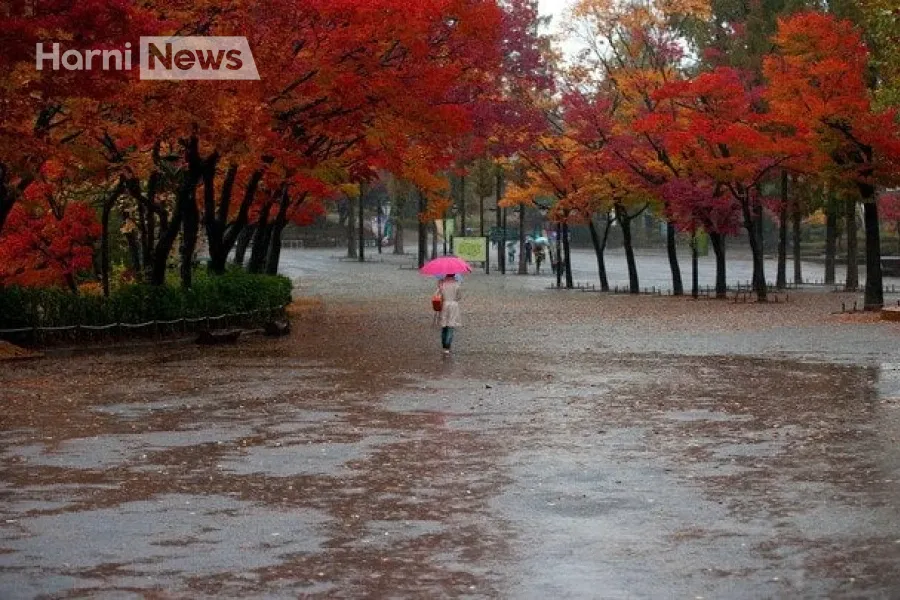 5 листопада: дощі на Правобережжі, туман на півдні – чи підніметься температура до 15°?