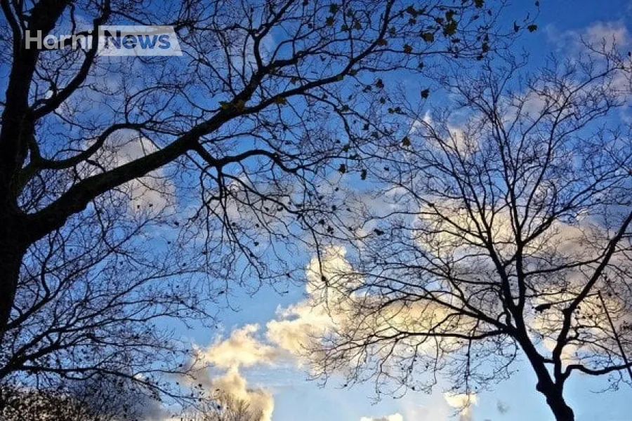 Недільний прогноз на 9 листопада: хмари з проясненнями, локальні дощі й м’які температури