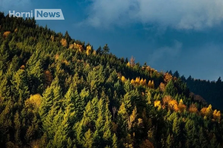 Вихідні 1-2 листопада: яка погода чекає Україну та Київ – прогноз погоди