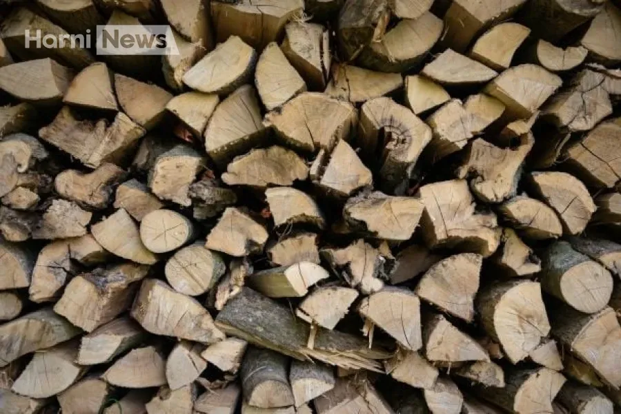 Хочеш дров на зиму? Перевір правила, інакше буде штраф