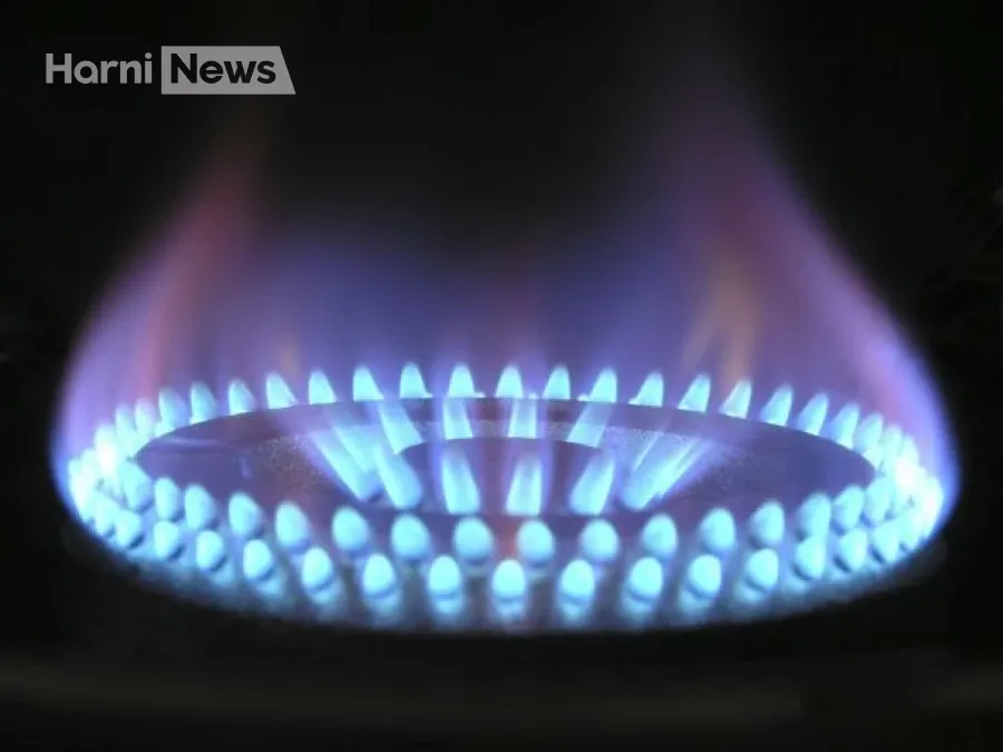 DEPA Trading і Нафтогаз оголосили про зимові поставки LNG: коли і як працюватиме «Маршрут 1»