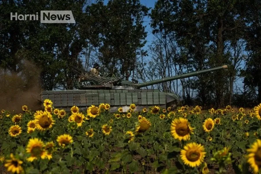 Страховий стаж за службу: кому зарахують роки і як діяти, якщо даних у Реєстрі немає