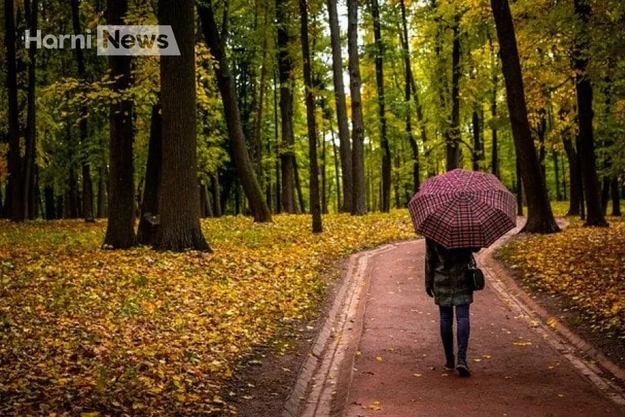 Прогноз погоди від Укргідрометцентру на 15-16 листопада: де в Україні накрапає, а де буде сонячно?