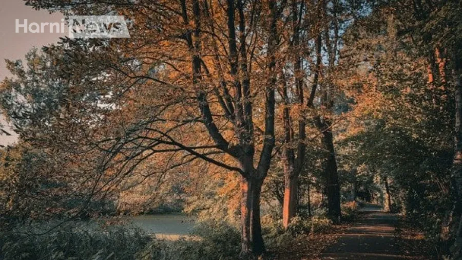 13 листопада: хмари, туман і північно-західний вітер – що готує сьогоднішня погода?