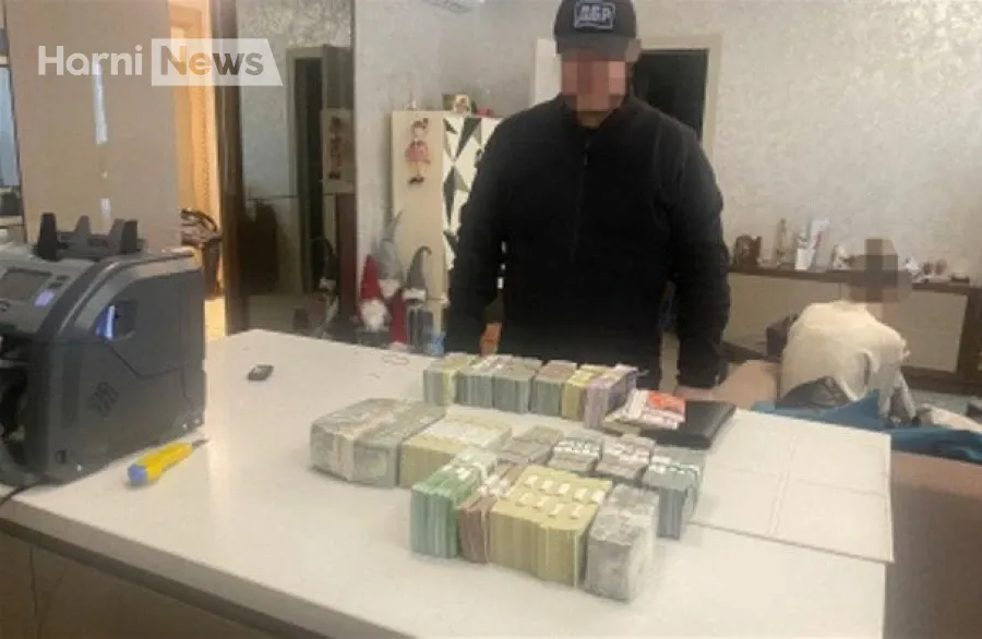 Незаконне збагачення в екоінспекції? Вилучено 880 тис. доларів і понад 200 тис. євро – суд узяв під варту