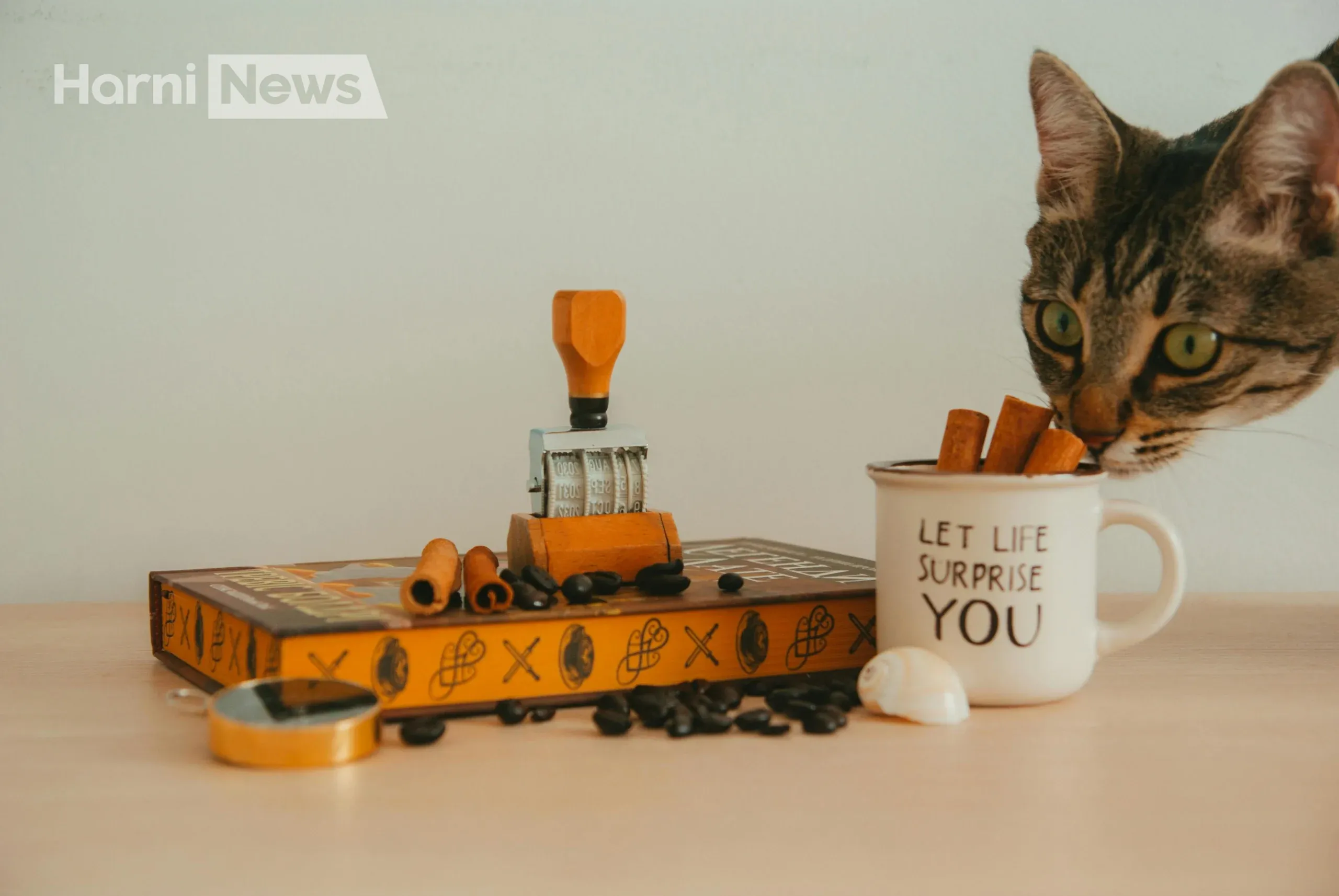 Як покращити пам'ять людини