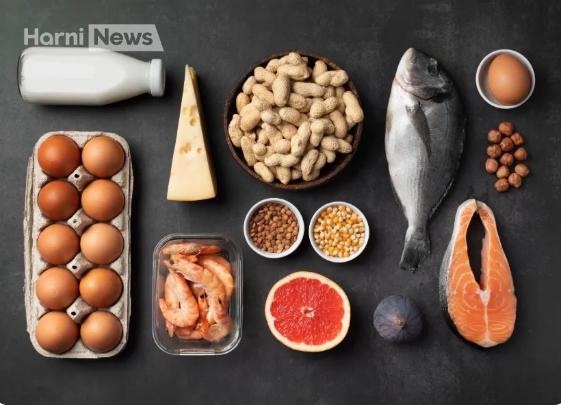 ТОП продуктів з білком – ідеально для сніданку, обіду й перекусу