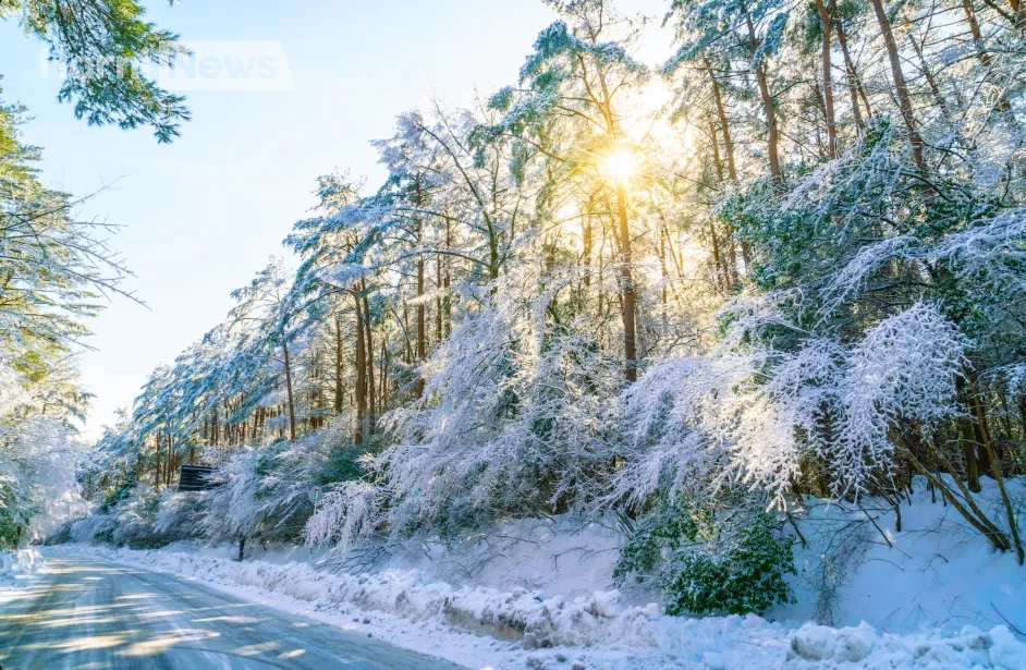 Найкращі побажання гарного зимового дня: для коханих, друзів і колег
