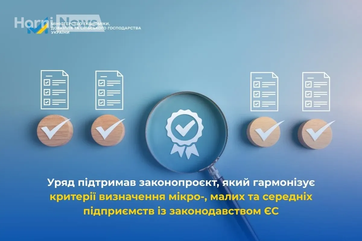 Нові правила МСП за стандартами ЄС: кого і як торкнуться зміни, схвалені Кабміном