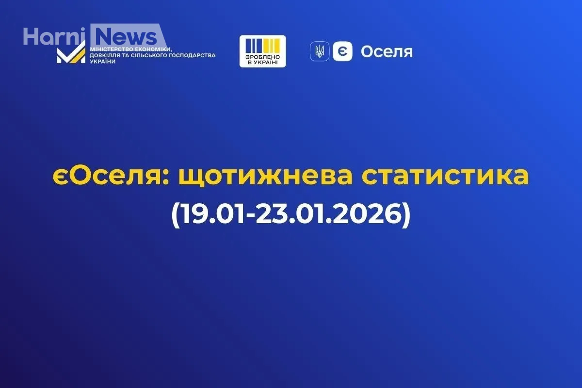 Як працює єОселя зараз: 3% чи 7%? Розбір 177 нових кредитів і регіональної статистики