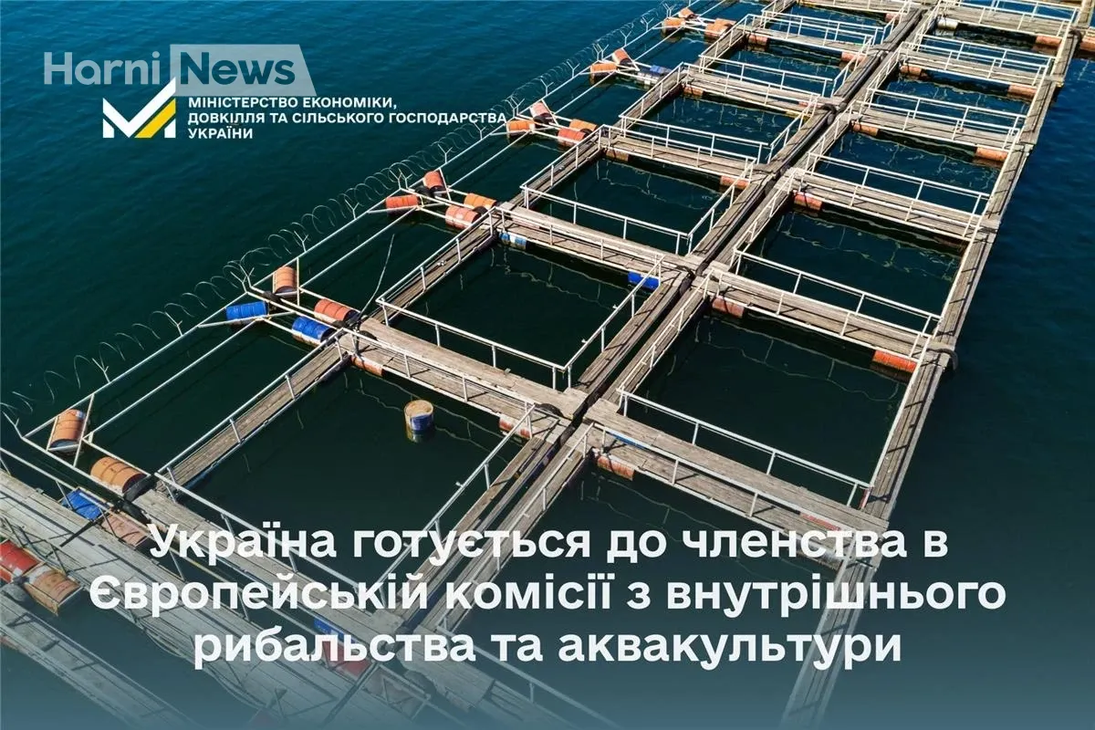 Україна на порозі EIFAAC? Уряд запускає процедуру вступу до європейської комісії