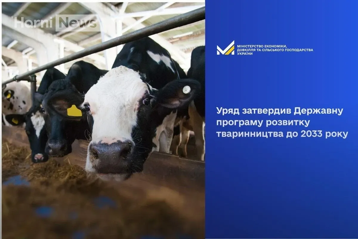 Тваринництво до 2033: як нова програма Кабміну відновить поголів’я і зменшить імпортну залежність
