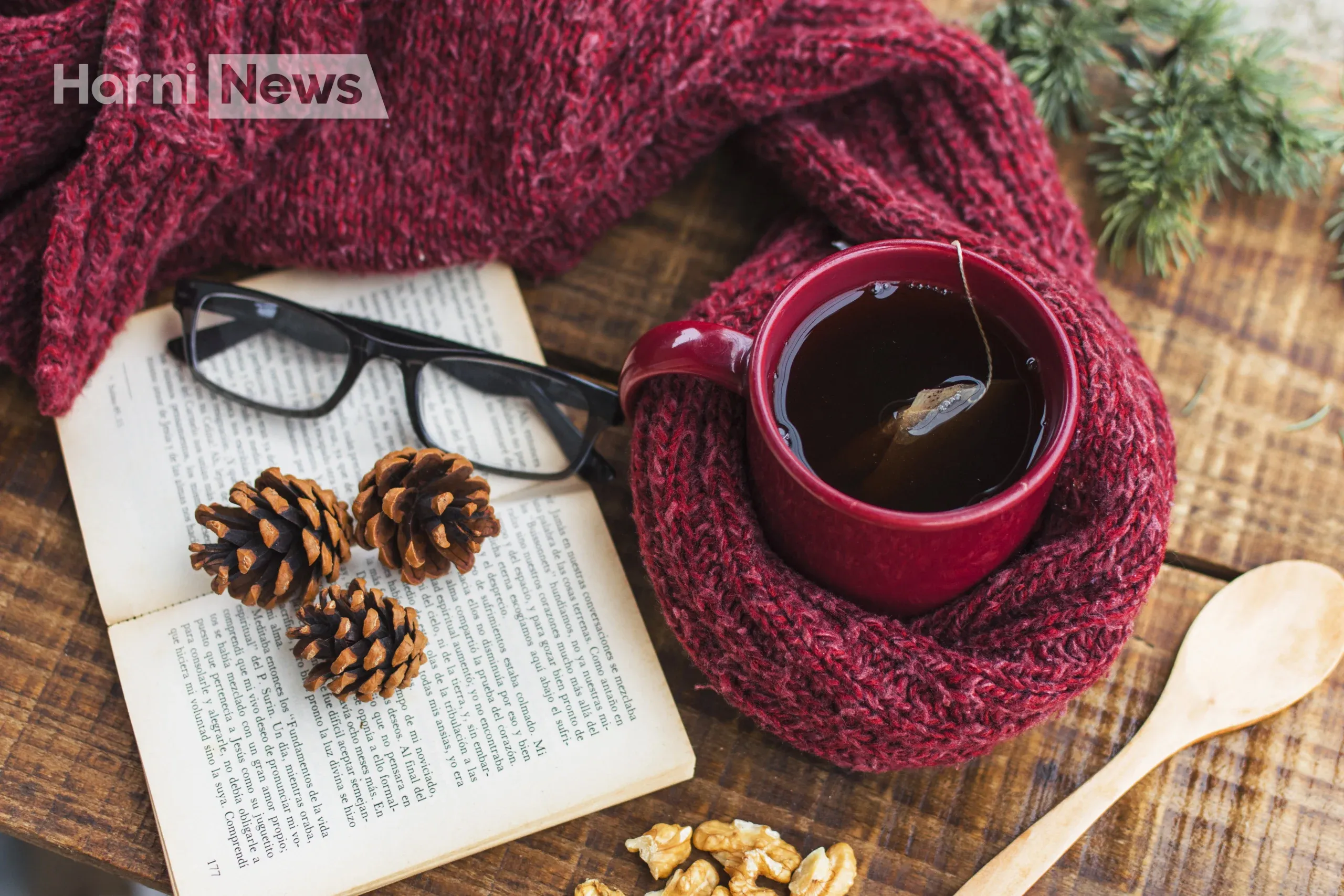 Що почитати взимку: велика добірка зимових книжок, які гріють, лякають і повертають до себе