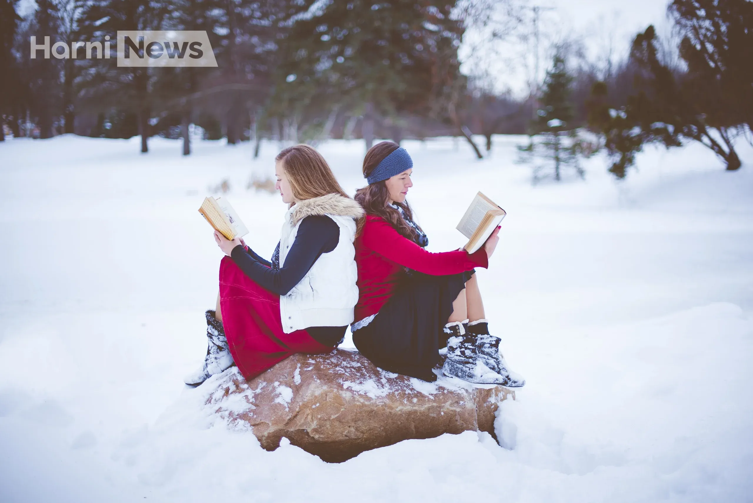 Що почитати взимку для дорослих