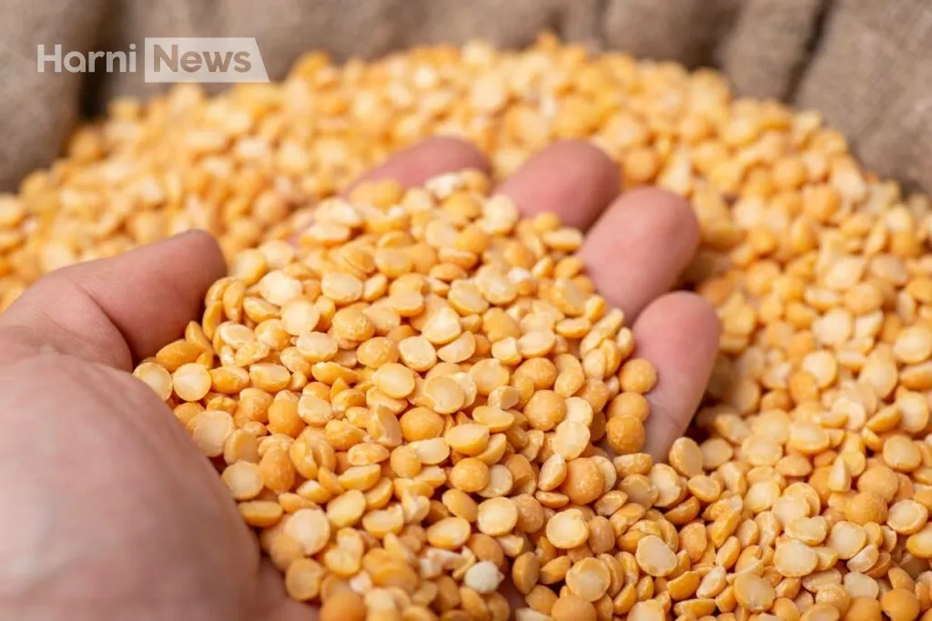 Як варити горох щоб розварився