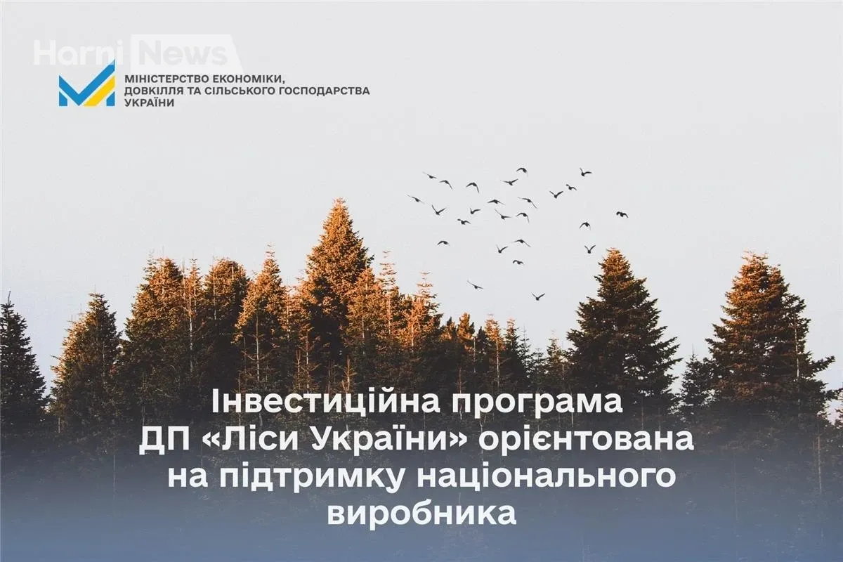 4,1 млрд грн для лісів: як ДП «Ліси України» підтримає вітчизняного виробника у 2026 році