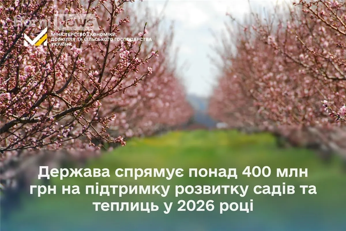 Гранти на сад і теплицю: кому дадуть до 10 млн грн та до 80% компенсації?